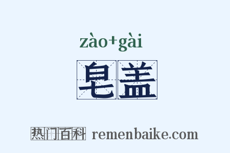 皂盖是什么意思的图片